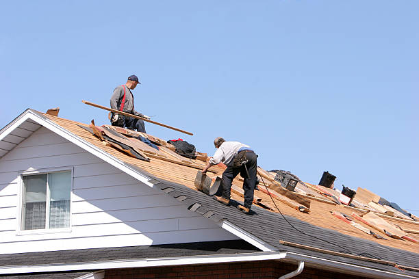 Best Metal Roofing Installation  in Fort Valley, GA